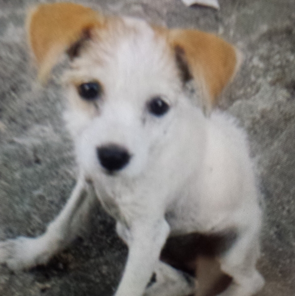 Meet your Posher, Debra - Picture 5 of 8